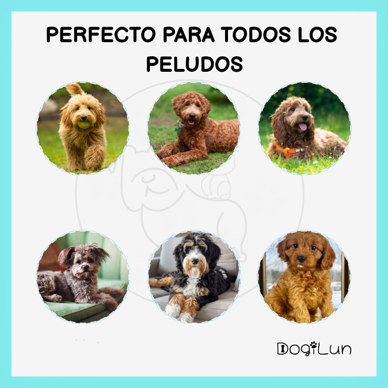 Cepillo Flexible DogiLun